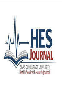 Sağlık Hizmetleri Araştırma Dergisi Kapak